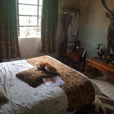 Sasana Motel And Guest House Bungoma Экстерьер фото