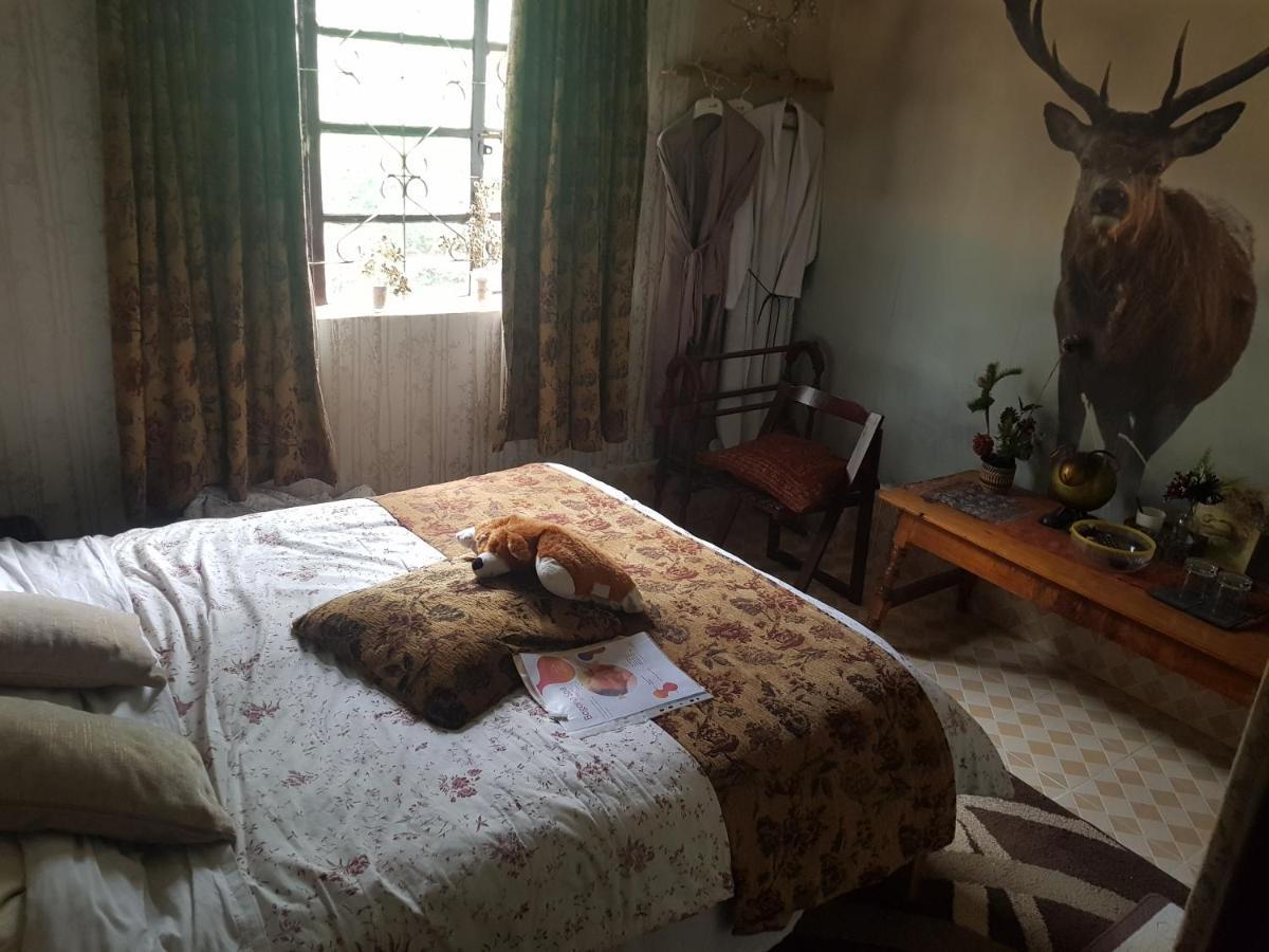 Sasana Motel And Guest House Bungoma Экстерьер фото